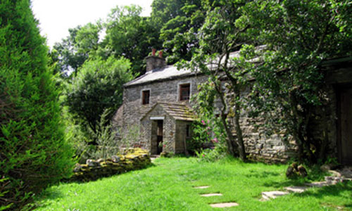 Sycamore Tree Farm