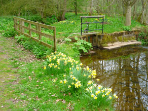 Acorn Bank National Trust Cumbria