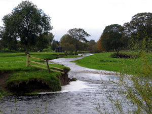 River Eden