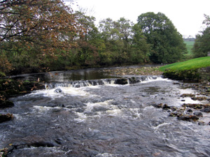 River Eden