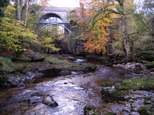 River Eden at Stenkrith