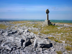 Orton Scar