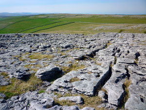 Orton Scar