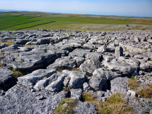 Orton Scar