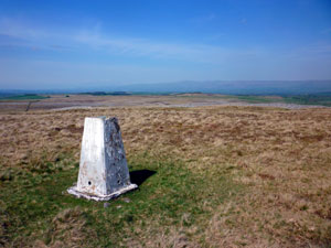 Orton Scar