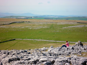 Orton Scar
