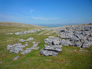 Orton Scar