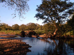 River Belah