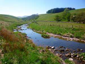 Smardale Nature Reserve 