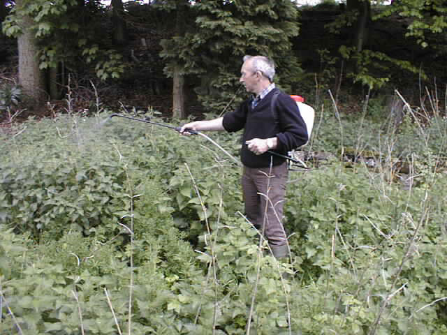 Ravenstonedale Tennis Club