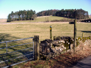 Walking in Smardale