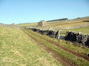 Walking in Smardale