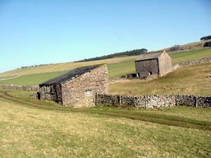 Walking in Smardale