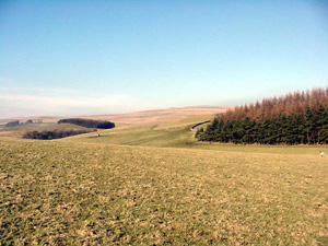 Walking in Smardale