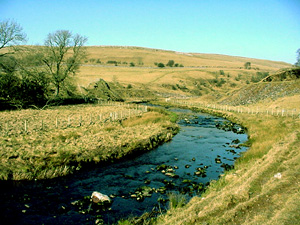 Walking in Smardale