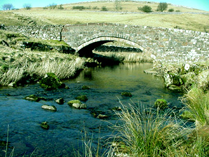 Walking in Smardale