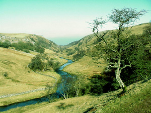 Walking in Smardale