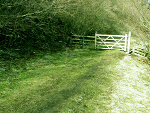 Walking in Smardale
