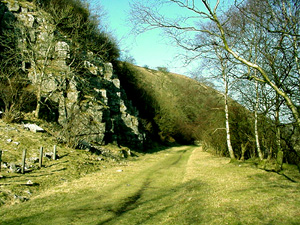 Walking in Smardale