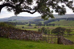 Swaledale