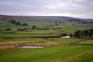 Swaledale