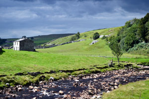 Swaledale