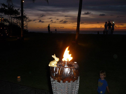 Brasshopper in Bali 2012