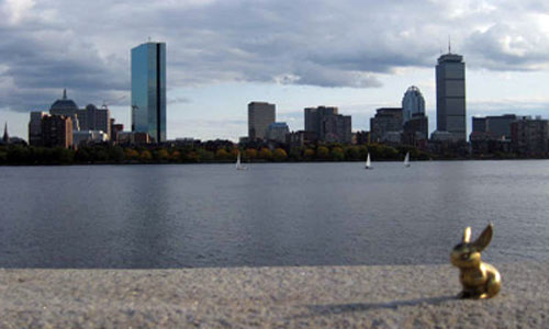 Brasshopper boston