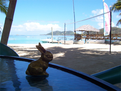 Brasshopper in Fiji