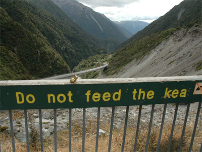 New Zealand - Arthur's Pass