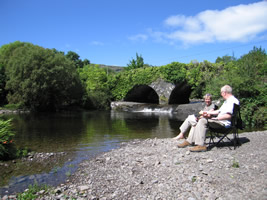 Brasshopper in Ireland 2005
