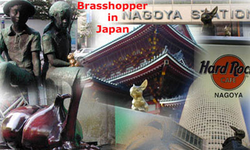 Brasshopper