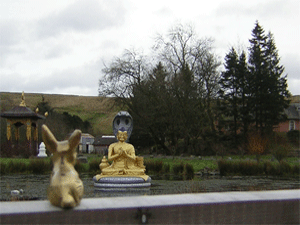 Brasshopper at Kagyu Samye Ling Tibetan Centre, Scotland 2006