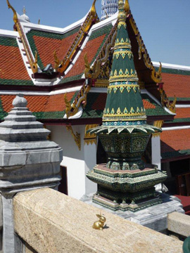 Brasshopper in Thailand 2012