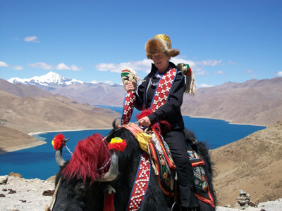 Brasshopper in Tibet 2009