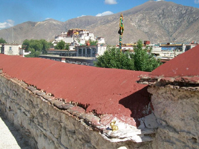 Brasshopper in Tibet 2009