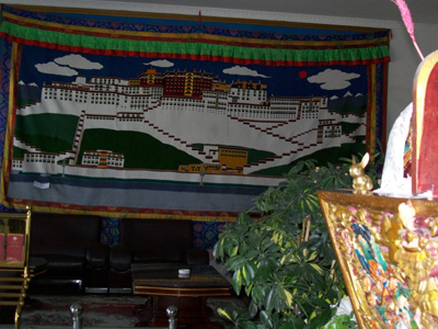 Brasshopper in Tibet 2009