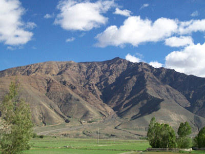Brasshopper in Tibet 2009