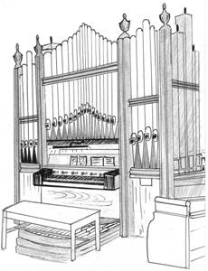 Organ sketch