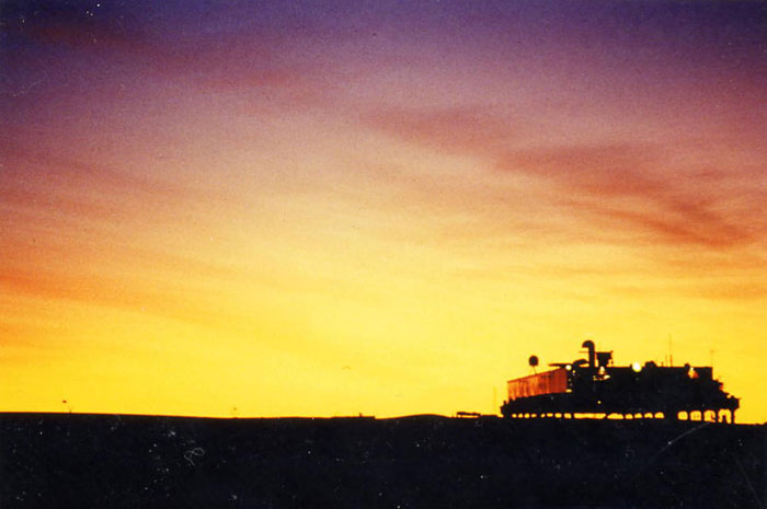 Haley at sunset