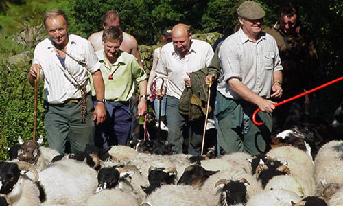 hill farming in ravenstonedale