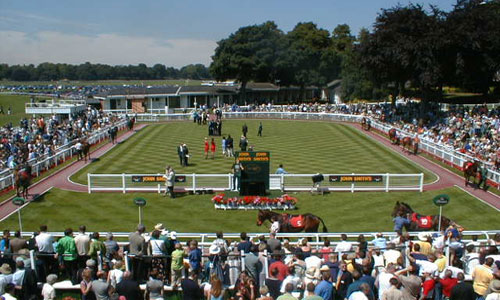 york races