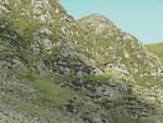 Ravenstonedale Gathering