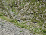 Ravenstonedale Gathering