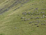 Ravenstonedale Gathering