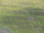 Ravenstonedale Gathering