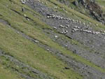 Ravenstonedale Gathering