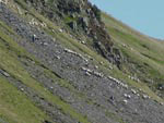 Ravenstonedale Gathering