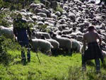 Ravenstonedale Gathering