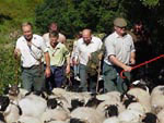 Ravenstonedale Gathering